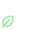 Satmint Logo